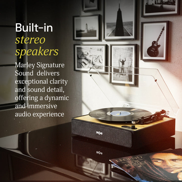 NEW! Rise Up Turntable