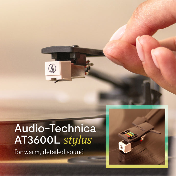 NEW! Rise Up Turntable